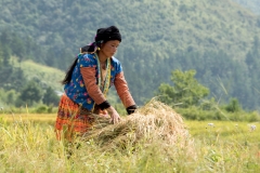 Liz_Harvest-time_