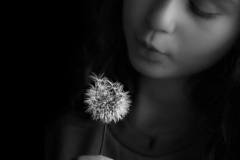 Noémia Prada - Photograph