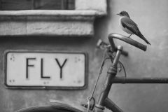 Noémia Prada - AI generated art