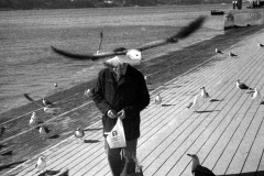 Birdman-Lisbon-waterfront-35mm-negative-scan-Paul-Kaspar-1920px